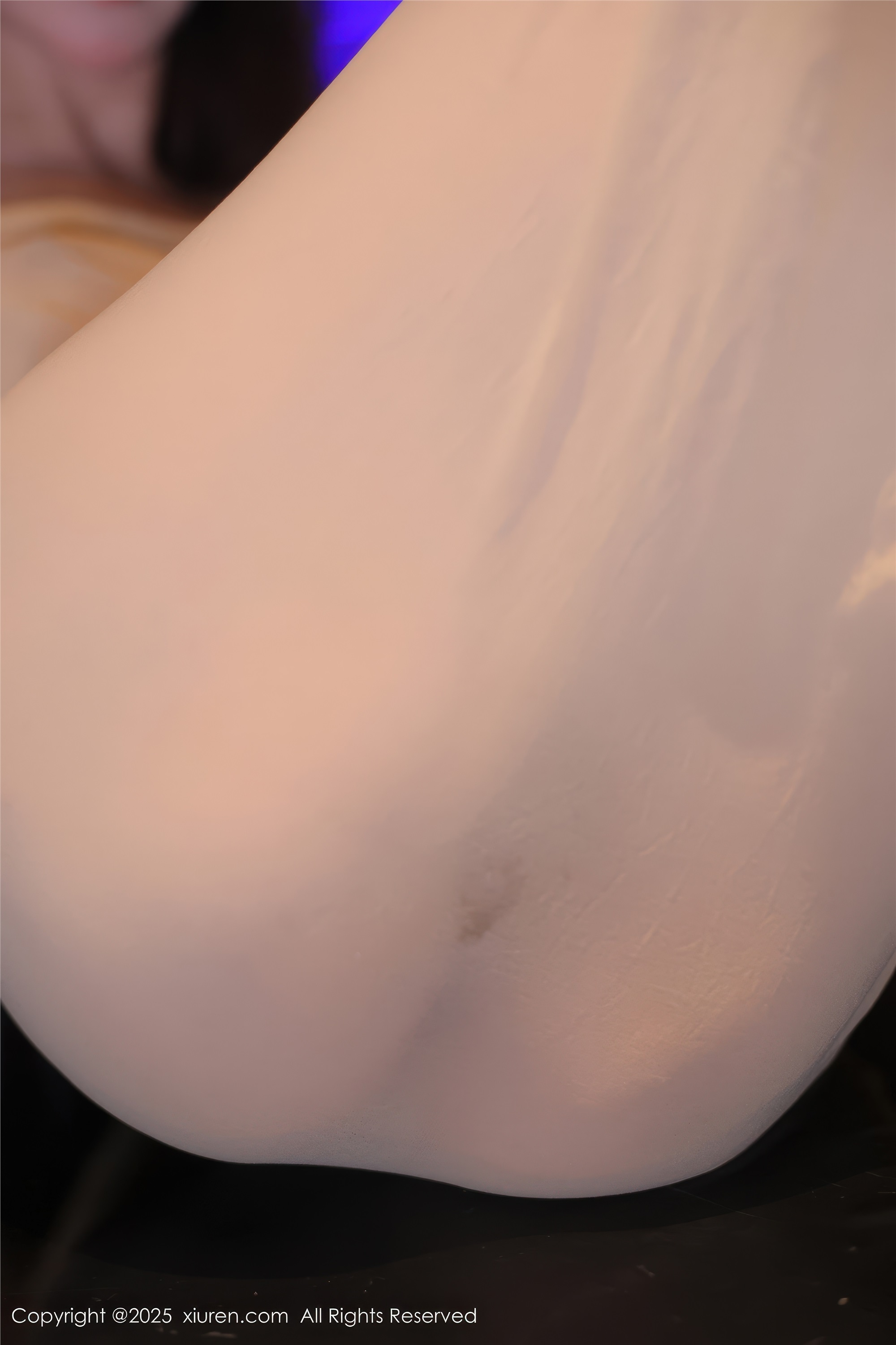 Xiuren秀人网 2025.02.08 NO.9860 Candy糖糖